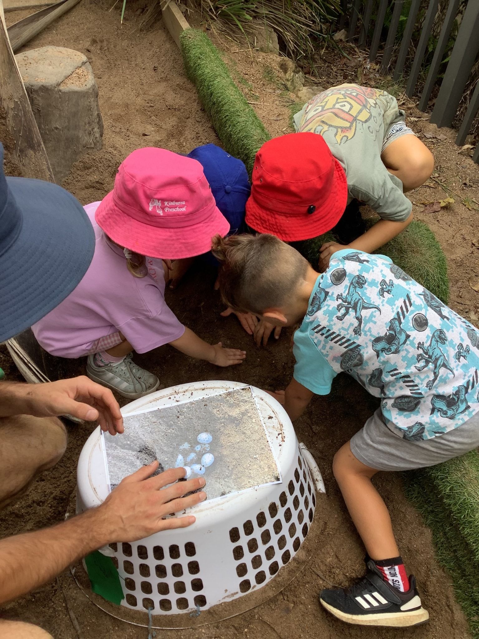 Children with bucket hats search soil, near a white basket with balls, supervised by an adult — Kinburra Preschool (Kincumber) in Kincumber, NSW