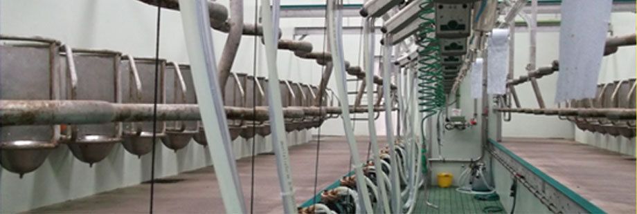 Equipment in the dairy