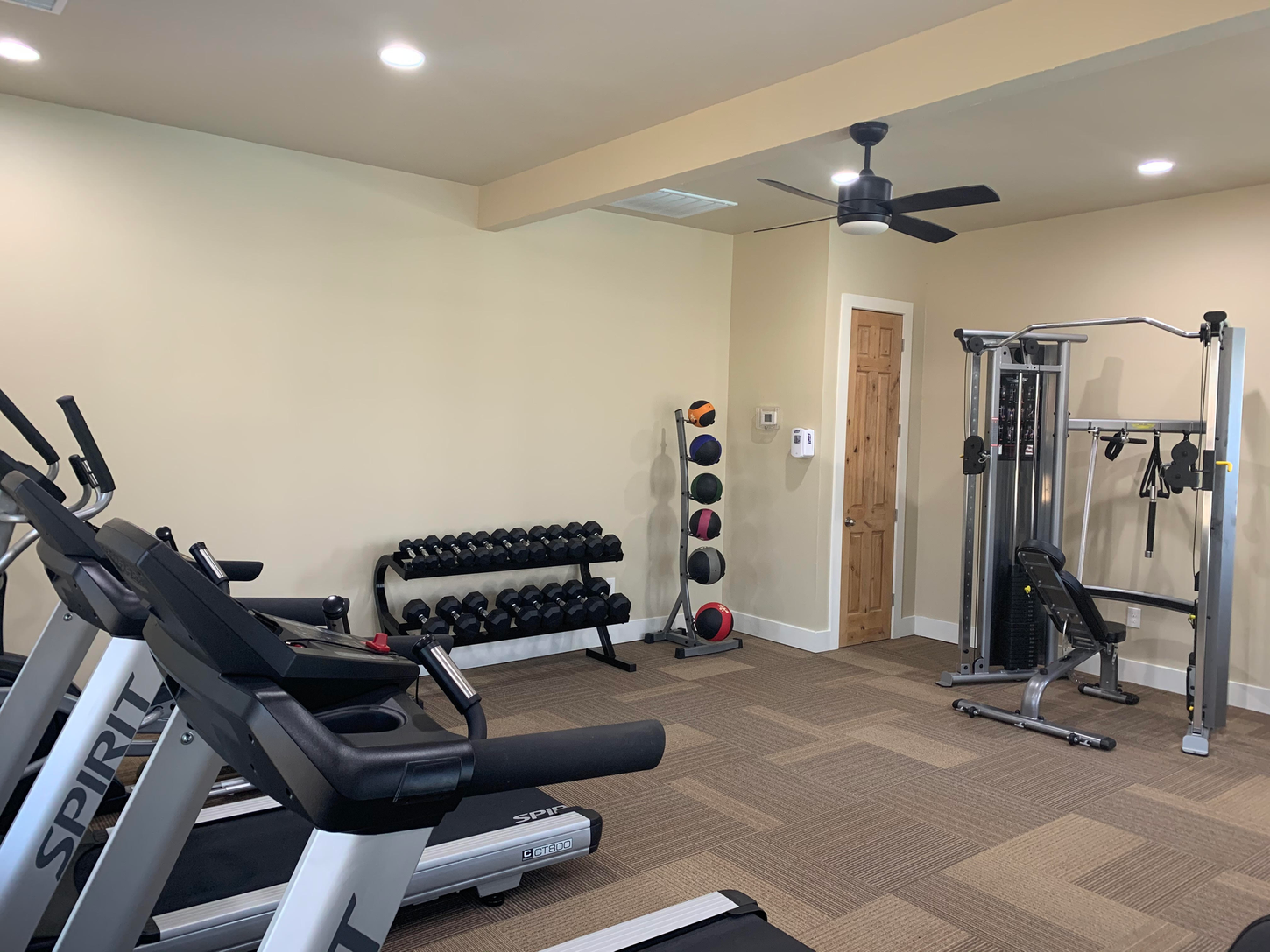 Gym interior with treadmills, weights, and weight machine.