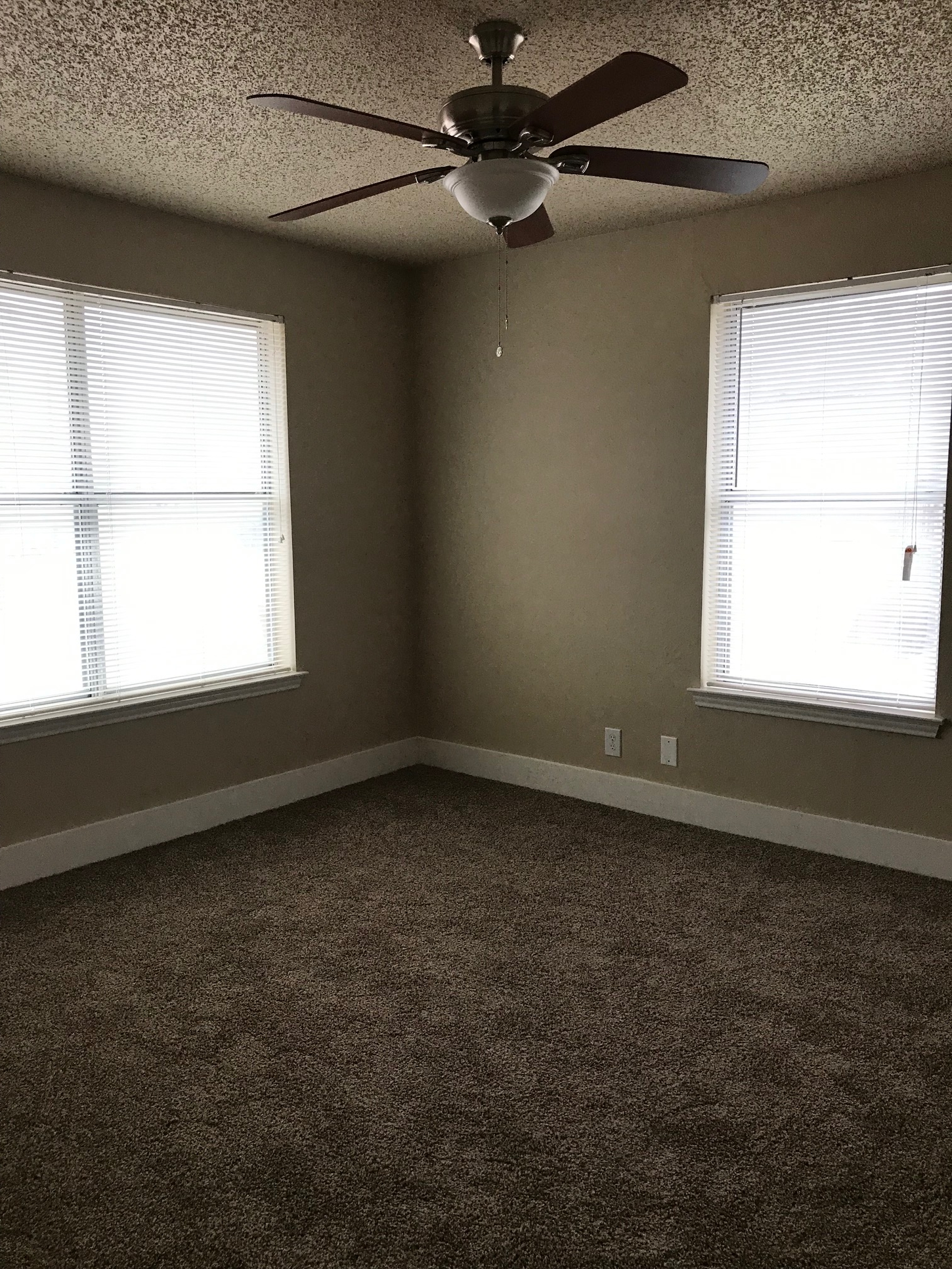 Empty bedroom with brown carpet, beige walls, two windows with blinds, and a ceiling fan.