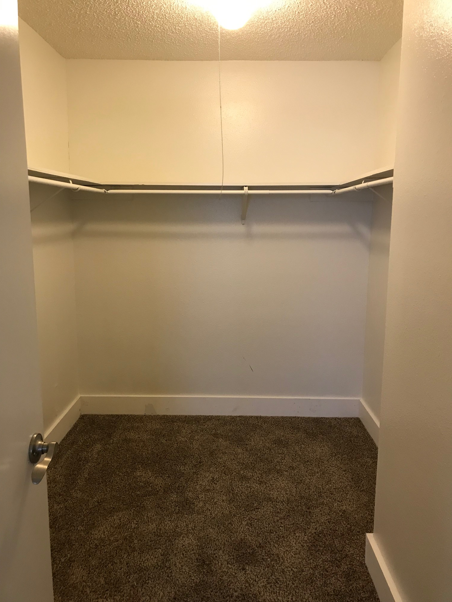 Empty walk-in closet with brown carpet, white walls, and a hanging rod.