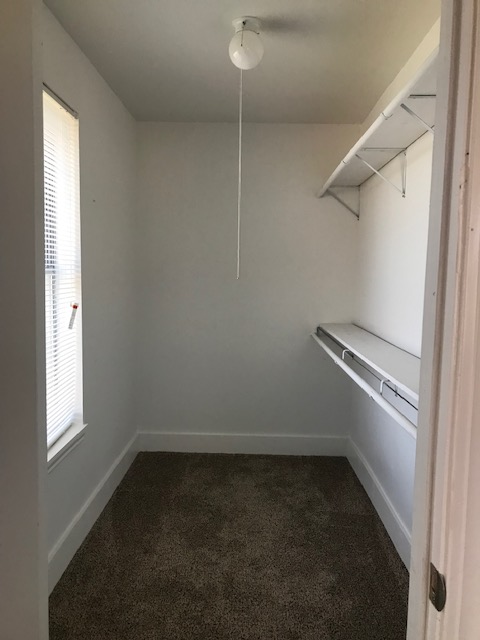 Empty walk-in closet with carpet, shelves, a window, and a light fixture. White walls and trim.