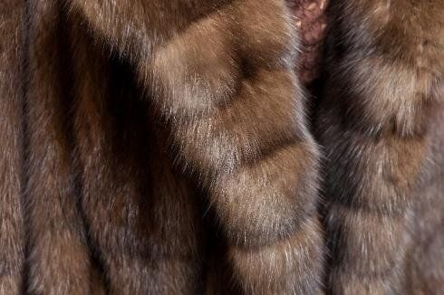 pelliccia rigenerata 1