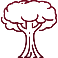 A simple, dark red outline drawing of a deciduous tree with a rounded, leafy canopy and a solid trunk.
