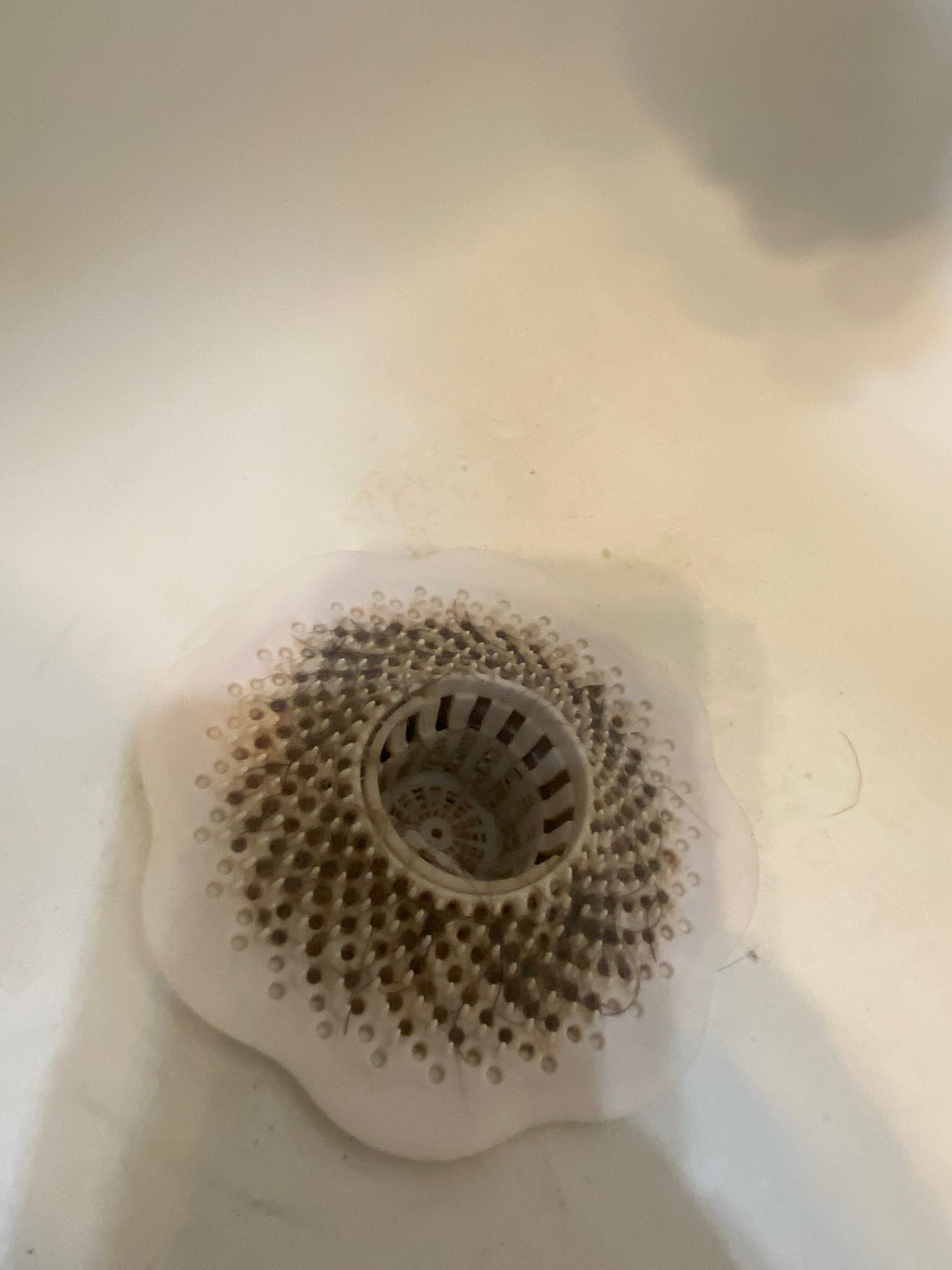 White sink basin with a dirty, circular drain cover.