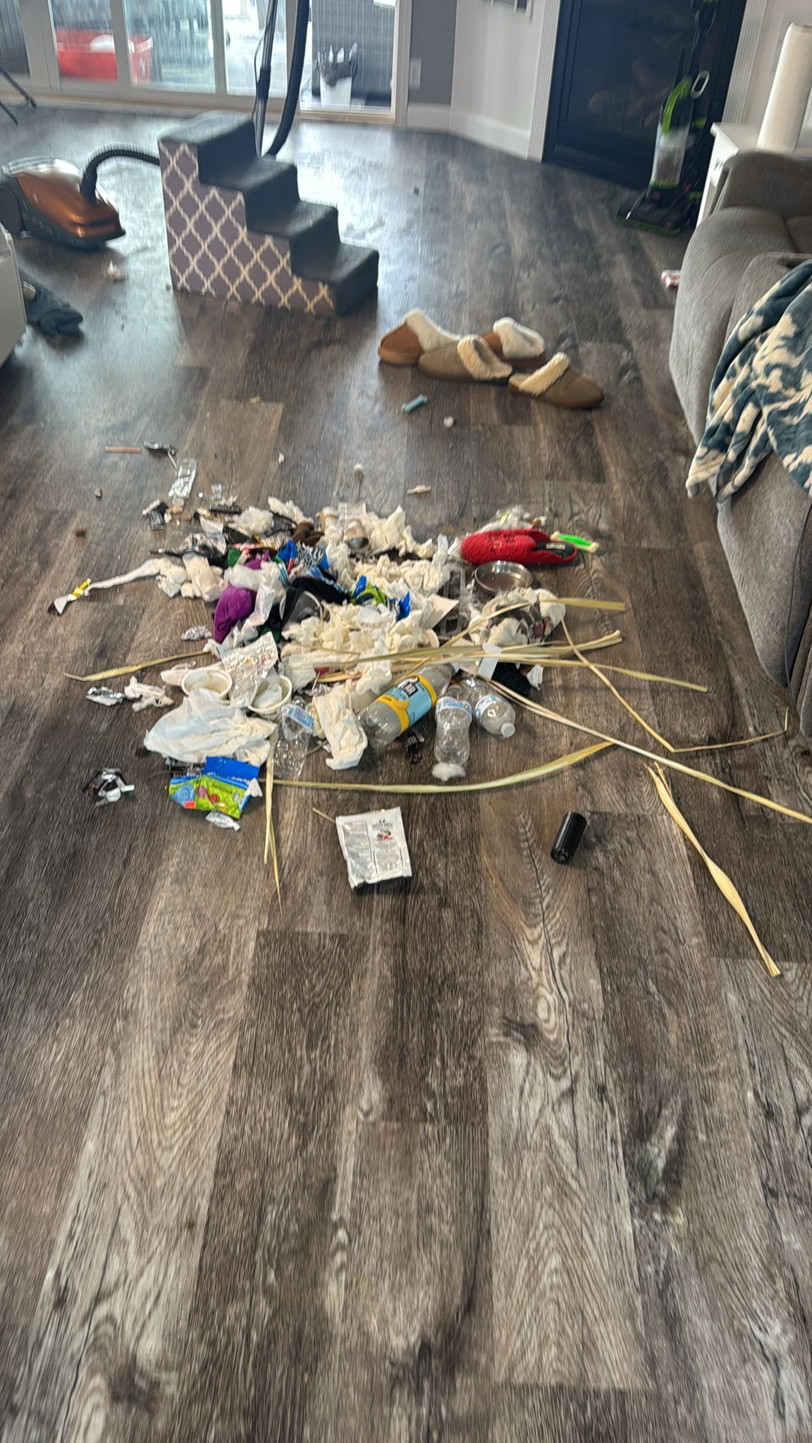 Pile of shredded items and debris on a wood-look floor, with a dog step, vacuum, and couch nearby.
