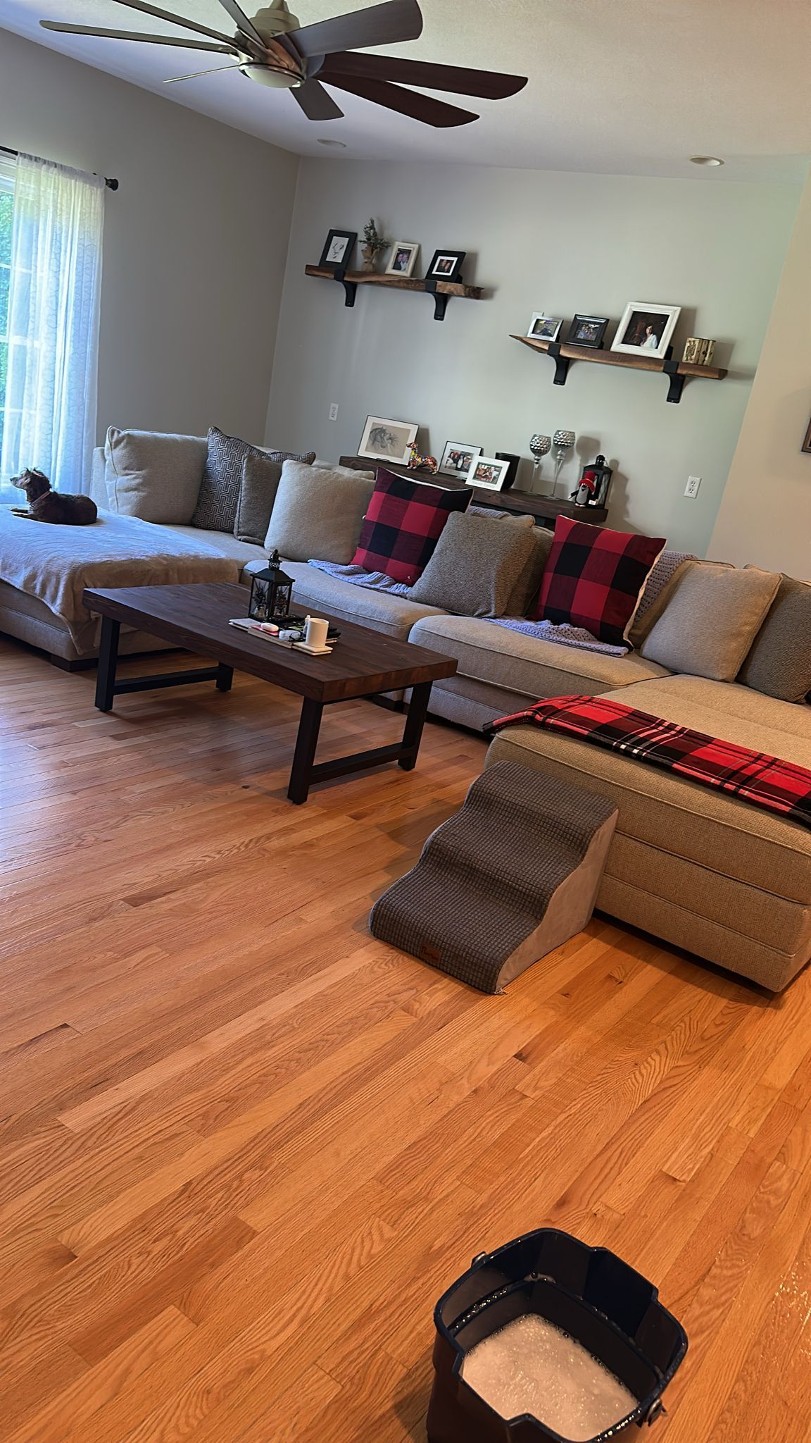 Living room with light wood floors, gray sectional sofa, dog steps, and a coffee table.