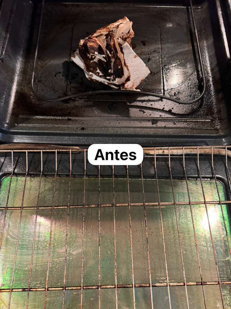 Dirty oven interior with burnt debris above, below shows the clean rack. 