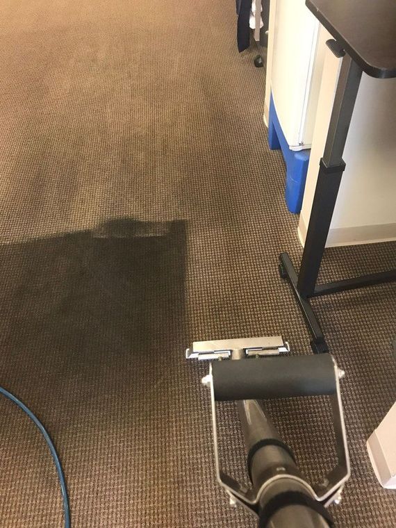 Carpet being cleaned with a machine; dark section indicates area cleaned, showing a wave pattern.