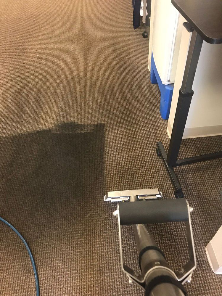 Carpet being cleaned with a machine; brown carpet, blue hose, black desk leg visible.