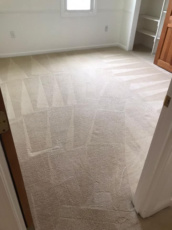 Beige carpeted room, door ajar. Window and built-in closet visible.