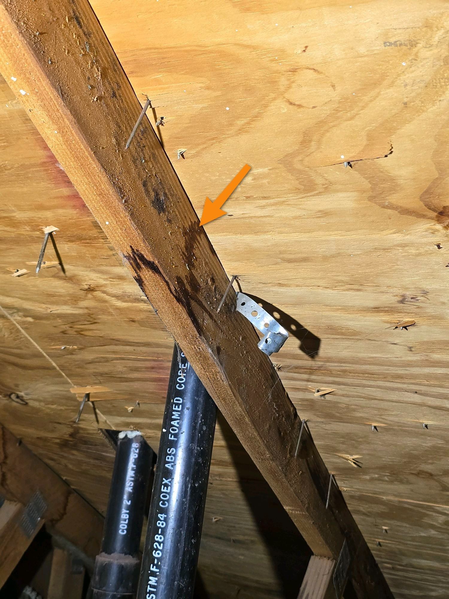 Home Inspections, Remodels, Plumbing, Electrical, Windows & Doors, Property Fences & Block Walls, Construction Company, General Contractor Near Me, Remodeling Company Near Me, Kitchen Remodeler, Kitchen Remodeling, Bathroom Remodeler, Bathroom Remodeling, Home Additions, ADU Builds, Plumber Near Me, Plumbing Company, Leaky Faucets, Shower Installations, Plumbing Fixture Installations, Sewer Repairs, Sewer Maintenance, Sewer Installation, Sewer Replacement, Main Line Repairs, Main Line Maintenance, Main Line Installation, Main Line Replacement, Electrical Services, Electrician Near Me, Whole House Rewring, Electrical Panel Upgrade, Electrical Panel Installation, Electrical Panel Replacement, Window Company Near Me, Glass Installation, Window Installation, Window Repair, Window Replacement, Door Company Near Me, Door Installation, Door Replacement, Flooring Installation, Flooring Replacement, Roofing Company Near Me, Roofing Installation, Roof Repair, Roof Replacement, Retaining Wall Installation, Fence Contractor, Fence Company Near Me, Fence Installation, Fence Repair, Fence Replacement, Vinyl Fences, Wooden Fences, Chain Link Fences, Block Wall Installation, Block Wall Replacement, Block Wall Repair, Home Inspector, Home Inspector Near Me, Hacienda Heights Home Inspector, Brea Home Inspector, Covina Home Inspector, Pomona Home Inspector, Walnut Home Inspector, Valinda Home Inspector, El Monte Home Inspector, Whittier Home Inspector, Fullerton Home Inspector, Diamond Bar Home Inspector, West Covina Home Inspector, Yorba Linda Home Inspector, Baldwin Park Home Inspector, La Habra Home Inspector, Rowland Heights Home Inspector, La Habra Heights Home Inspector, Monterey Park Home Inspector, Alhambra Home Inspector, Azusa Home Inspector, Monrovia Home Inspector, Home Inspection Company, Home Inspection Company Near Me, Home Inspection Services, Thermal Imaging, Moisture Detection, Moisture Inspection, Sewer Line Inspection, Drone Roof Inspection, Branch Circuit Analyzer, Hacienda Heights CA, Brea CA, Covina CA, Pomona CA, Walnut CA, Valinda CA, El Monte CA, Whittier CA, Fullerton CA, Diamond Bar CA, West Covina CA, Yorba Linda CA, Baldwin Park CA, La Habra CA, Rowland Heights CA, La Habra Heights CA, Monterey Park CA, Alhambra CA, Azusa CA, Monrovia CA