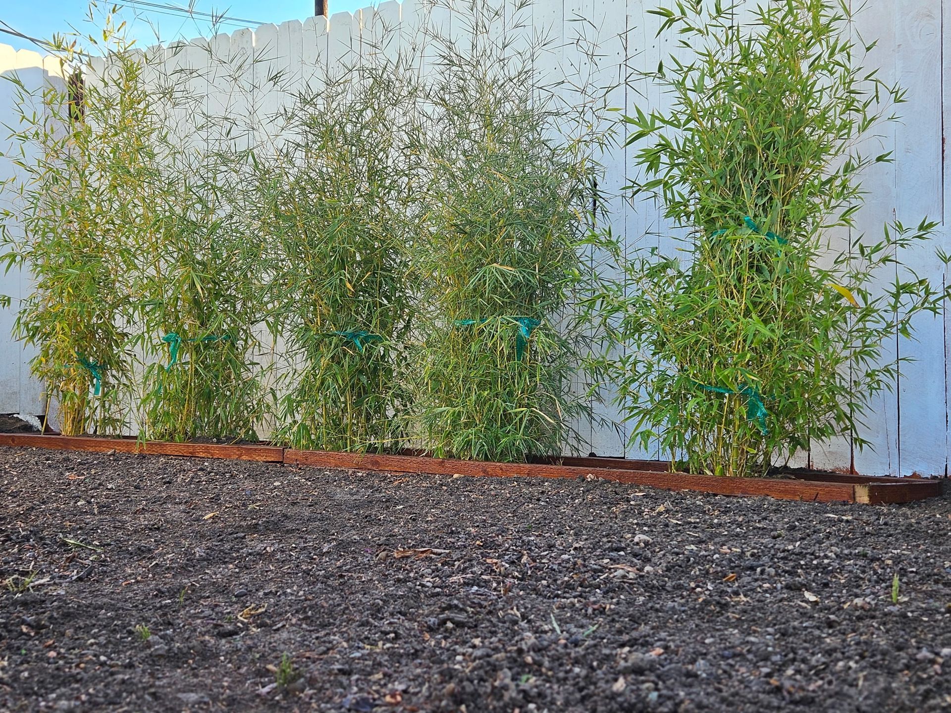 Home Inspections, Remodels, Plumbing, Electrical, Windows & Doors, Property Fences & Block Walls, Construction Company, General Contractor Near Me, Remodeling Company Near Me, Kitchen Remodeler, Kitchen Remodeling, Bathroom Remodeler, Bathroom Remodeling, Home Additions, ADU Builds, Plumber Near Me, Plumbing Company, Leaky Faucets, Shower Installations, Plumbing Fixture Installations, Sewer Repairs, Sewer Maintenance, Sewer Installation, Sewer Replacement, Main Line Repairs, Main Line Maintenance, Main Line Installation, Main Line Replacement, Electrical Services, Electrician Near Me, Whole House Rewring, Electrical Panel Upgrade, Electrical Panel Installation, Electrical Panel Replacement, Window Company Near Me, Glass Installation, Window Installation, Window Repair, Window Replacement, Door Company Near Me, Door Installation, Door Replacement, Flooring Installation, Flooring Replacement, Roofing Company Near Me, Roofing Installation, Roof Repair, Roof Replacement, Retaining Wall Installation, Fence Contractor, Fence Company Near Me, Fence Installation, Fence Repair, Fence Replacement, Vinyl Fences, Wooden Fences, Chain Link Fences, Block Wall Installation, Block Wall Replacement, Block Wall Repair, Home Inspector, Home Inspector Near Me, Hacienda Heights Home Inspector, Brea Home Inspector, Covina Home Inspector, Pomona Home Inspector, Walnut Home Inspector, Valinda Home Inspector, El Monte Home Inspector, Whittier Home Inspector, Fullerton Home Inspector, Diamond Bar Home Inspector, West Covina Home Inspector, Yorba Linda Home Inspector, Baldwin Park Home Inspector, La Habra Home Inspector, Rowland Heights Home Inspector, La Habra Heights Home Inspector, Monterey Park Home Inspector, Alhambra Home Inspector, Azusa Home Inspector, Monrovia Home Inspector, Home Inspection Company, Home Inspection Company Near Me, Home Inspection Services, Thermal Imaging, Moisture Detection, Moisture Inspection, Sewer Line Inspection, Drone Roof Inspection, Branch Circuit Analyzer, Hacienda Heights CA, Brea CA, Covina CA, Pomona CA, Walnut CA, Valinda CA, El Monte CA, Whittier CA, Fullerton CA, Diamond Bar CA, West Covina CA, Yorba Linda CA, Baldwin Park CA, La Habra CA, Rowland Heights CA, La Habra Heights CA, Monterey Park CA, Alhambra CA, Azusa CA, Monrovia CA