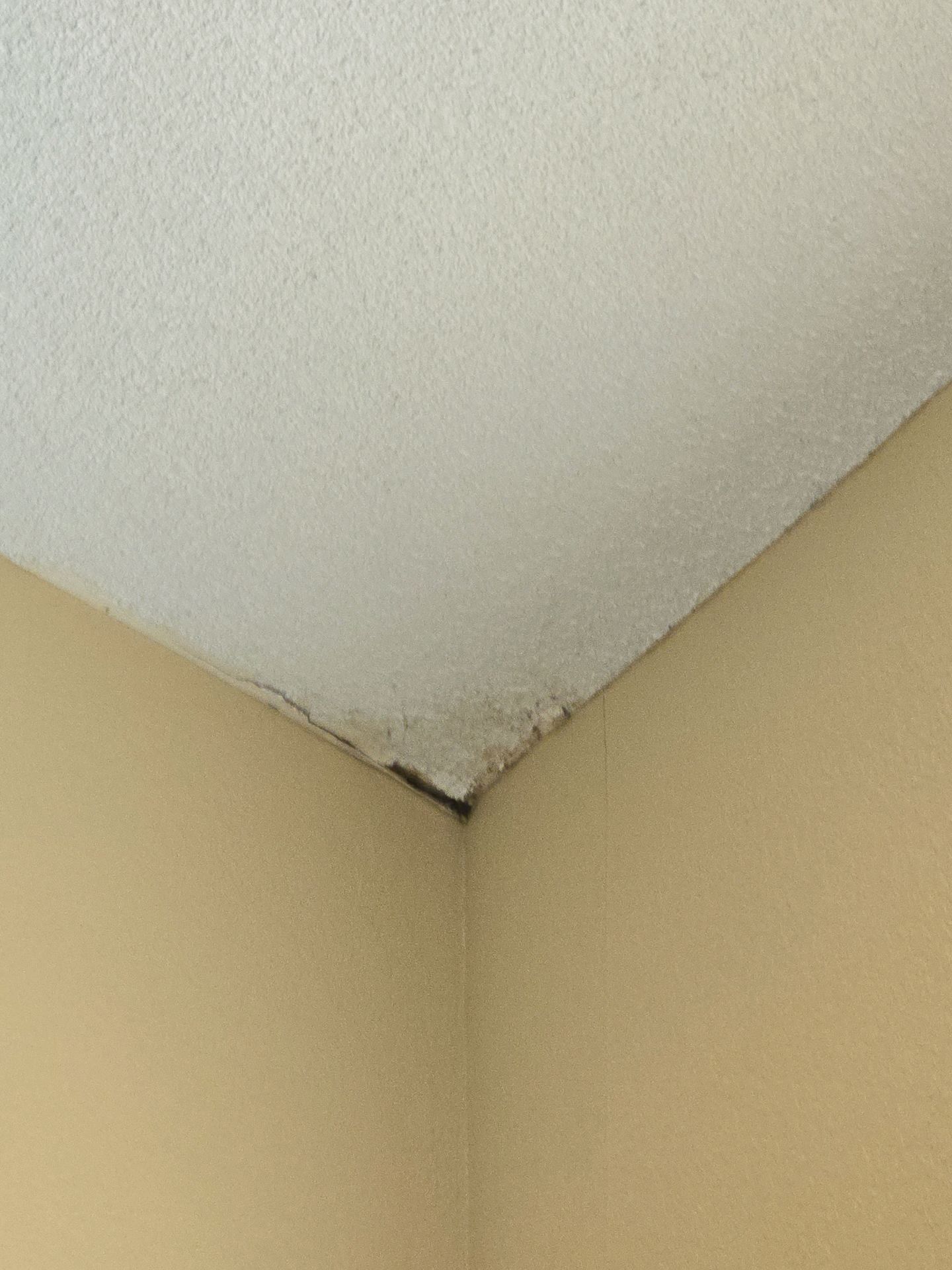 Home Inspections, Remodels, Plumbing, Electrical, Windows & Doors, Property Fences & Block Walls, Construction Company, General Contractor Near Me, Remodeling Company Near Me, Kitchen Remodeler, Kitchen Remodeling, Bathroom Remodeler, Bathroom Remodeling, Home Additions, ADU Builds, Plumber Near Me, Plumbing Company, Leaky Faucets, Shower Installations, Plumbing Fixture Installations, Sewer Repairs, Sewer Maintenance, Sewer Installation, Sewer Replacement, Main Line Repairs, Main Line Maintenance, Main Line Installation, Main Line Replacement, Electrical Services, Electrician Near Me, Whole House Rewring, Electrical Panel Upgrade, Electrical Panel Installation, Electrical Panel Replacement, Window Company Near Me, Glass Installation, Window Installation, Window Repair, Window Replacement, Door Company Near Me, Door Installation, Door Replacement, Flooring Installation, Flooring Replacement, Roofing Company Near Me, Roofing Installation, Roof Repair, Roof Replacement, Retaining Wall Installation, Fence Contractor, Fence Company Near Me, Fence Installation, Fence Repair, Fence Replacement, Vinyl Fences, Wooden Fences, Chain Link Fences, Block Wall Installation, Block Wall Replacement, Block Wall Repair, Home Inspector, Home Inspector Near Me, Hacienda Heights Home Inspector, Brea Home Inspector, Covina Home Inspector, Pomona Home Inspector, Walnut Home Inspector, Valinda Home Inspector, El Monte Home Inspector, Whittier Home Inspector, Fullerton Home Inspector, Diamond Bar Home Inspector, West Covina Home Inspector, Yorba Linda Home Inspector, Baldwin Park Home Inspector, La Habra Home Inspector, Rowland Heights Home Inspector, La Habra Heights Home Inspector, Monterey Park Home Inspector, Alhambra Home Inspector, Azusa Home Inspector, Monrovia Home Inspector, Home Inspection Company, Home Inspection Company Near Me, Home Inspection Services, Thermal Imaging, Moisture Detection, Moisture Inspection, Sewer Line Inspection, Drone Roof Inspection, Branch Circuit Analyzer, Hacienda Heights CA, Brea CA, Covina CA, Pomona CA, Walnut CA, Valinda CA, El Monte CA, Whittier CA, Fullerton CA, Diamond Bar CA, West Covina CA, Yorba Linda CA, Baldwin Park CA, La Habra CA, Rowland Heights CA, La Habra Heights CA, Monterey Park CA, Alhambra CA, Azusa CA, Monrovia CA