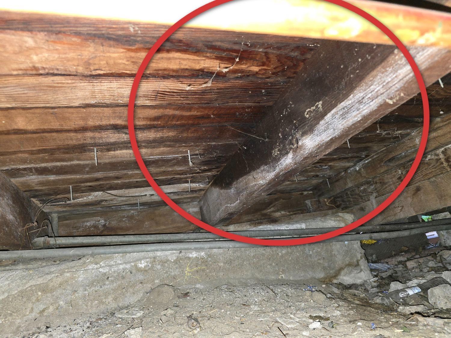 Home Inspections, Remodels, Plumbing, Electrical, Windows & Doors, Property Fences & Block Walls, Construction Company, General Contractor Near Me, Remodeling Company Near Me, Kitchen Remodeler, Kitchen Remodeling, Bathroom Remodeler, Bathroom Remodeling, Home Additions, ADU Builds, Plumber Near Me, Plumbing Company, Leaky Faucets, Shower Installations, Plumbing Fixture Installations, Sewer Repairs, Sewer Maintenance, Sewer Installation, Sewer Replacement, Main Line Repairs, Main Line Maintenance, Main Line Installation, Main Line Replacement, Electrical Services, Electrician Near Me, Whole House Rewring, Electrical Panel Upgrade, Electrical Panel Installation, Electrical Panel Replacement, Window Company Near Me, Glass Installation, Window Installation, Window Repair, Window Replacement, Door Company Near Me, Door Installation, Door Replacement, Flooring Installation, Flooring Replacement, Roofing Company Near Me, Roofing Installation, Roof Repair, Roof Replacement, Retaining Wall Installation, Fence Contractor, Fence Company Near Me, Fence Installation, Fence Repair, Fence Replacement, Vinyl Fences, Wooden Fences, Chain Link Fences, Block Wall Installation, Block Wall Replacement, Block Wall Repair, Home Inspector, Home Inspector Near Me, Hacienda Heights Home Inspector, Brea Home Inspector, Covina Home Inspector, Pomona Home Inspector, Walnut Home Inspector, Valinda Home Inspector, El Monte Home Inspector, Whittier Home Inspector, Fullerton Home Inspector, Diamond Bar Home Inspector, West Covina Home Inspector, Yorba Linda Home Inspector, Baldwin Park Home Inspector, La Habra Home Inspector, Rowland Heights Home Inspector, La Habra Heights Home Inspector, Monterey Park Home Inspector, Alhambra Home Inspector, Azusa Home Inspector, Monrovia Home Inspector, Home Inspection Company, Home Inspection Company Near Me, Home Inspection Services, Thermal Imaging, Moisture Detection, Moisture Inspection, Sewer Line Inspection, Drone Roof Inspection, Branch Circuit Analyzer, Hacienda Heights CA, Brea CA, Covina CA, Pomona CA, Walnut CA, Valinda CA, El Monte CA, Whittier CA, Fullerton CA, Diamond Bar CA, West Covina CA, Yorba Linda CA, Baldwin Park CA, La Habra CA, Rowland Heights CA, La Habra Heights CA, Monterey Park CA, Alhambra CA, Azusa CA, Monrovia CA