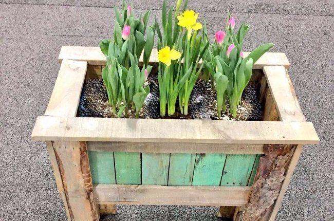 How to make a pallet seed box