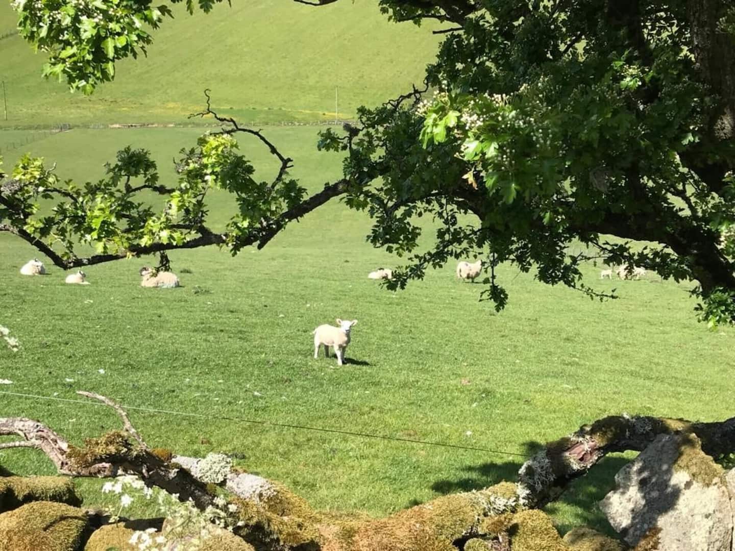 Farm - Newhill Granary accommodation, Glenfarg, Perth & Kinross