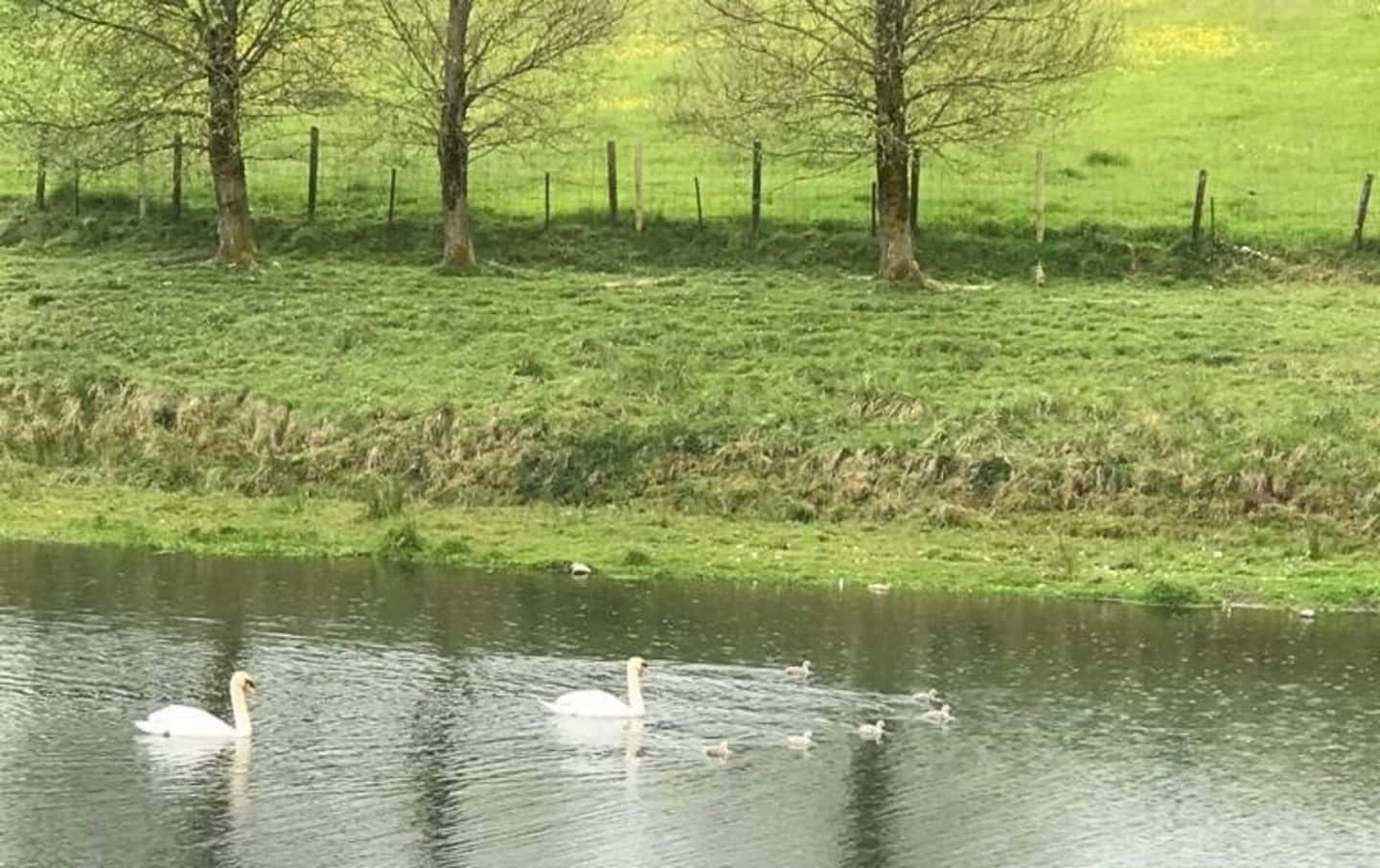 Farm - Newhill Granary accommodation, Glenfarg, Perth & Kinross