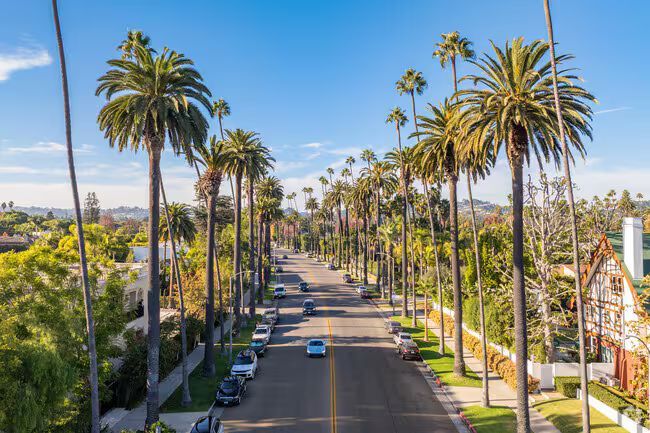 Palm tree-lined street under a blue sky, cars parked and driving. Houses and buildings on either side.