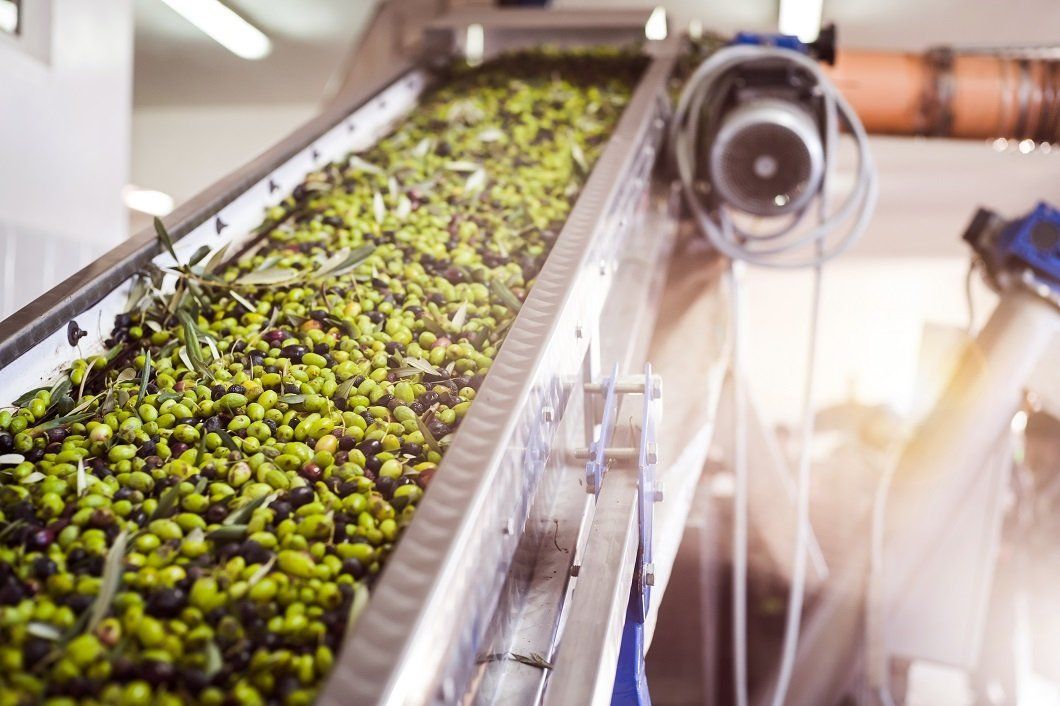 macchinario per la spremitura delle olive