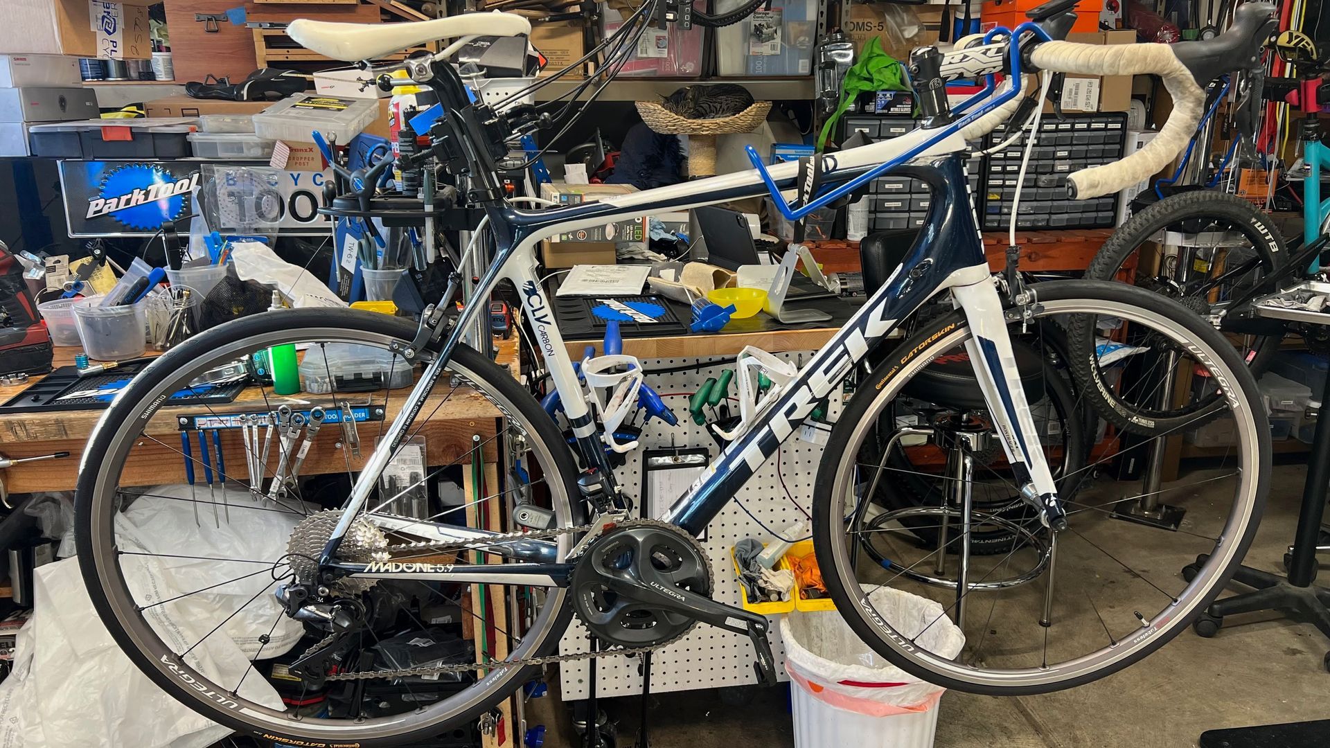 White and blue Trek road bike in a repair shop, held by a stand.