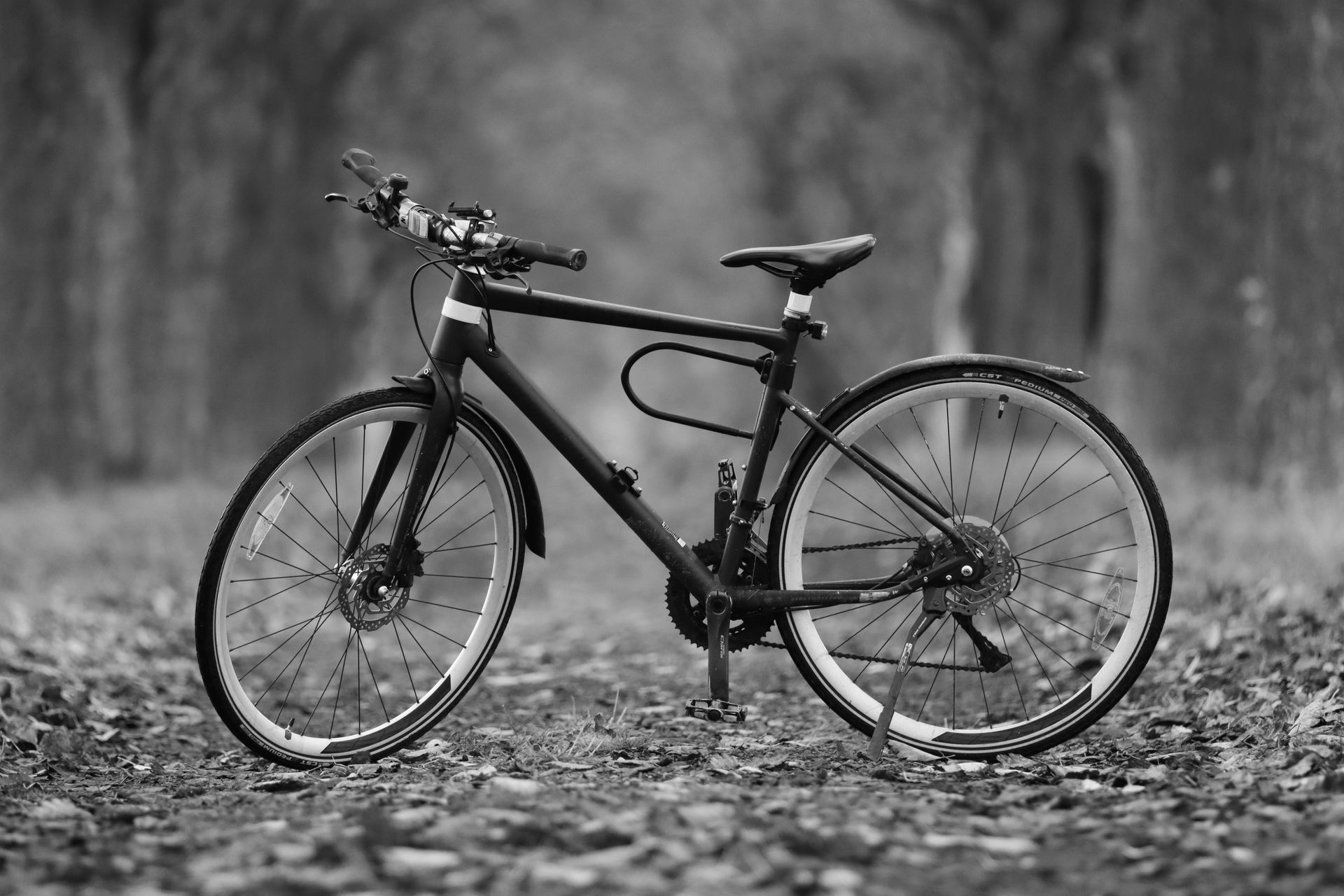 A black hybrid bicycle stands on a dirt path in a wooded area.