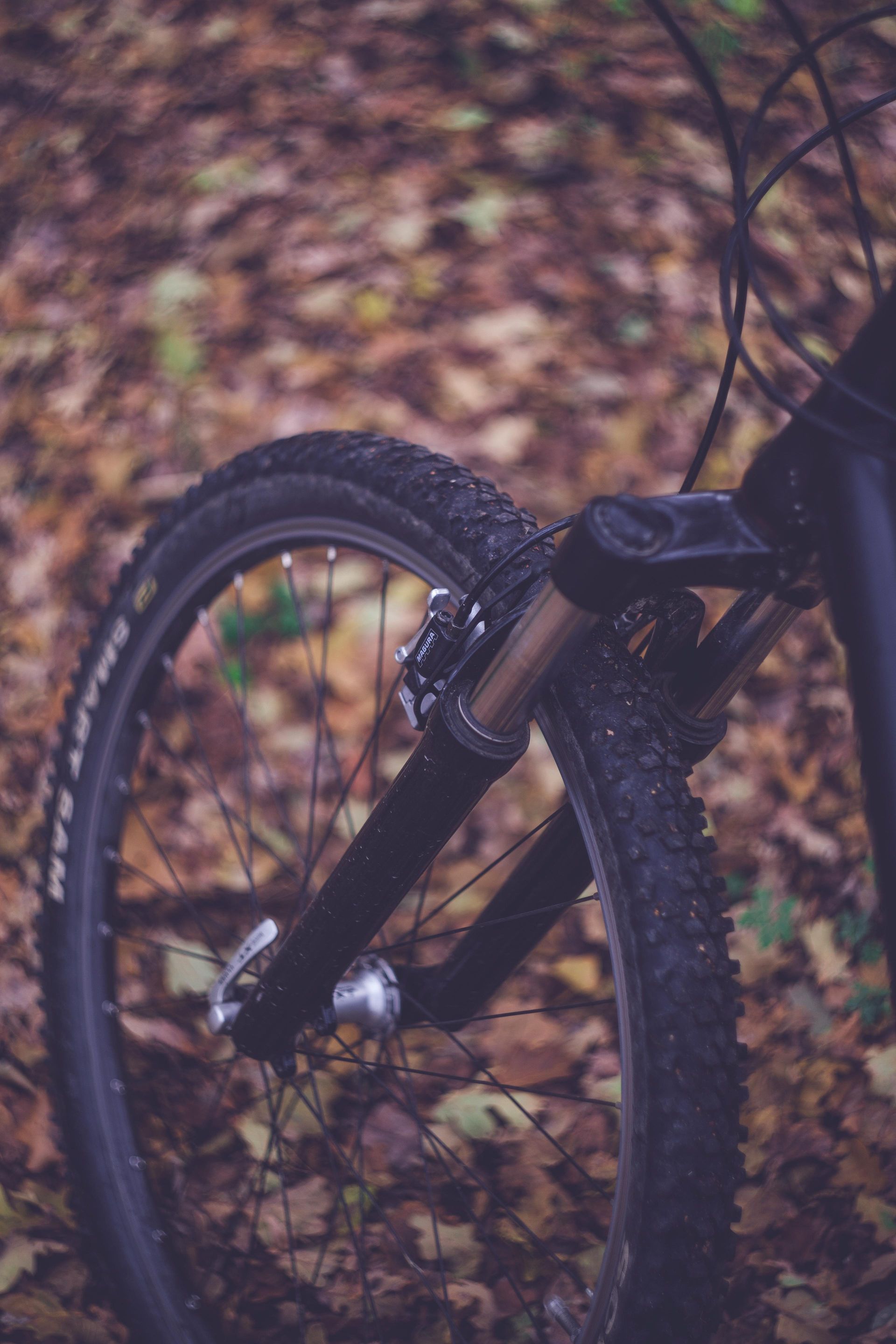 A close-up of a mountain bike's front tire and suspension fork resting on a bed of fallen autumn leaves.
