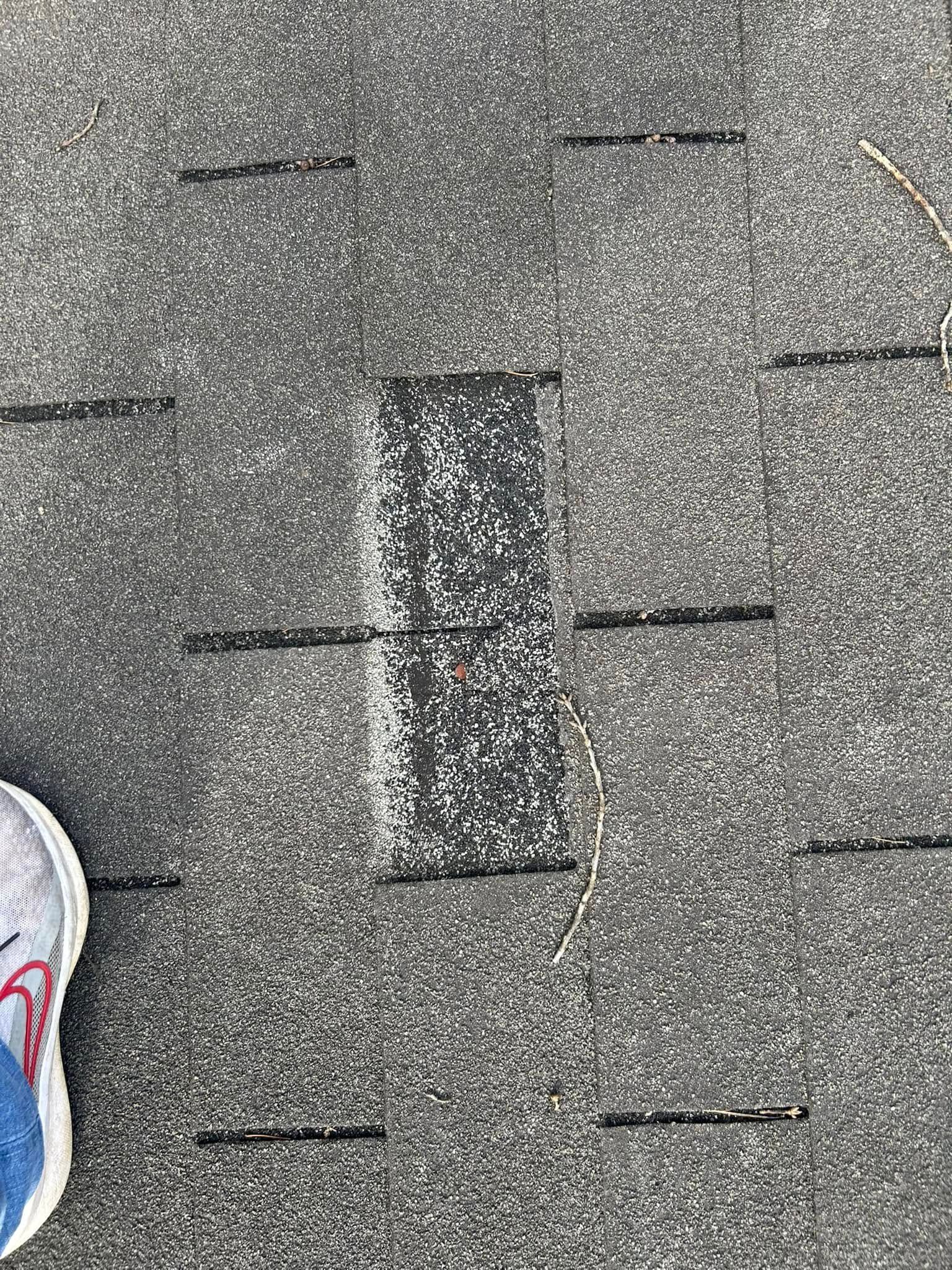 A pair of shoes is sitting on top of a roof.