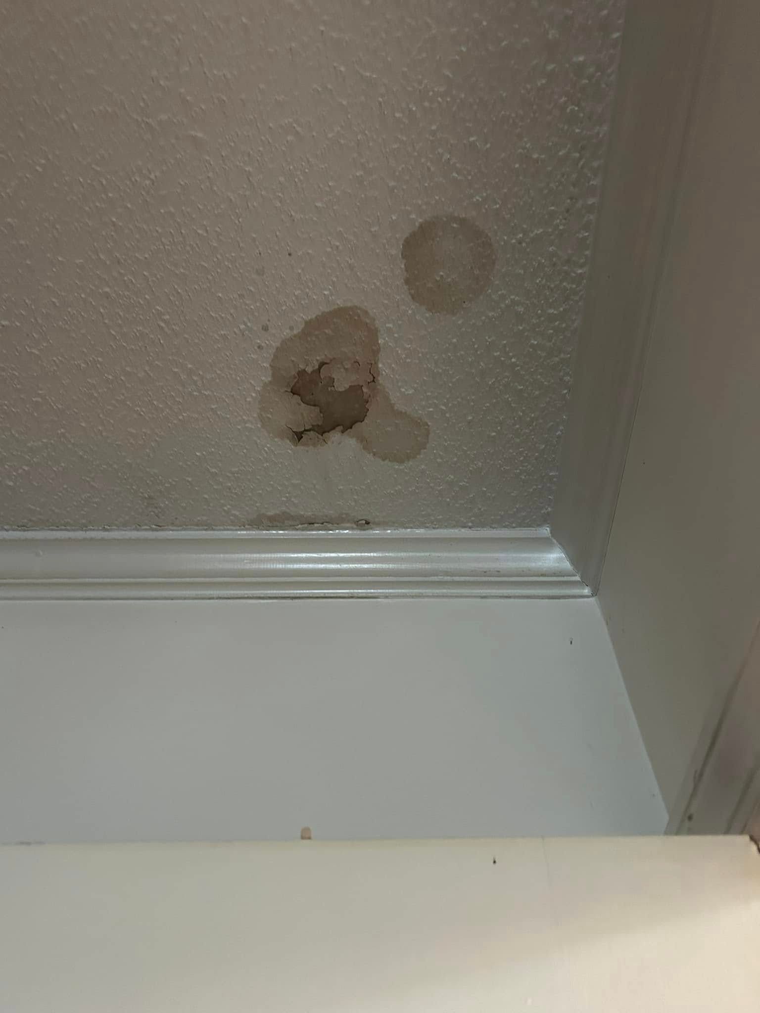 A close up of a ceiling with stains on it.