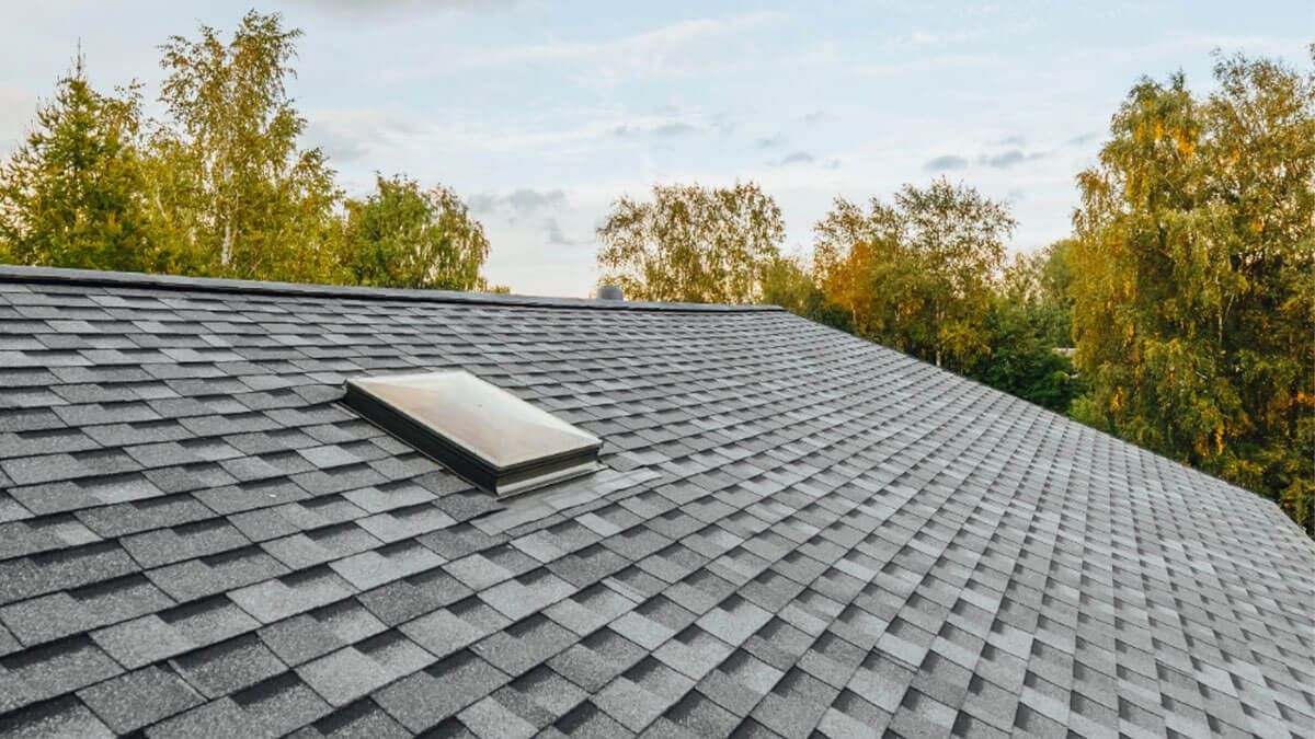 Asphalt shingle roof with a skylight, trees in background, daytime.
