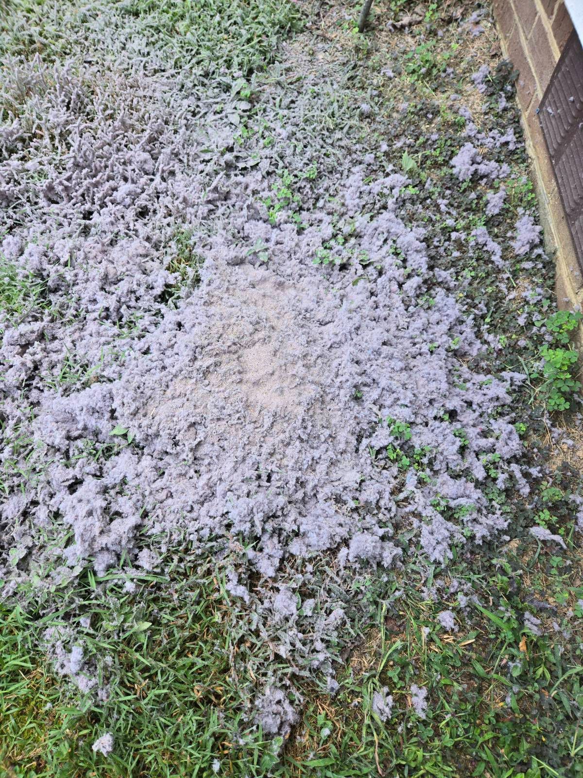 Dryer Vent