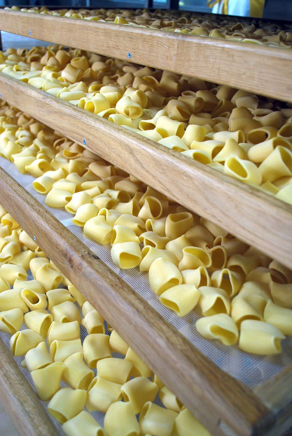 produzione di pasta secca del pastificio