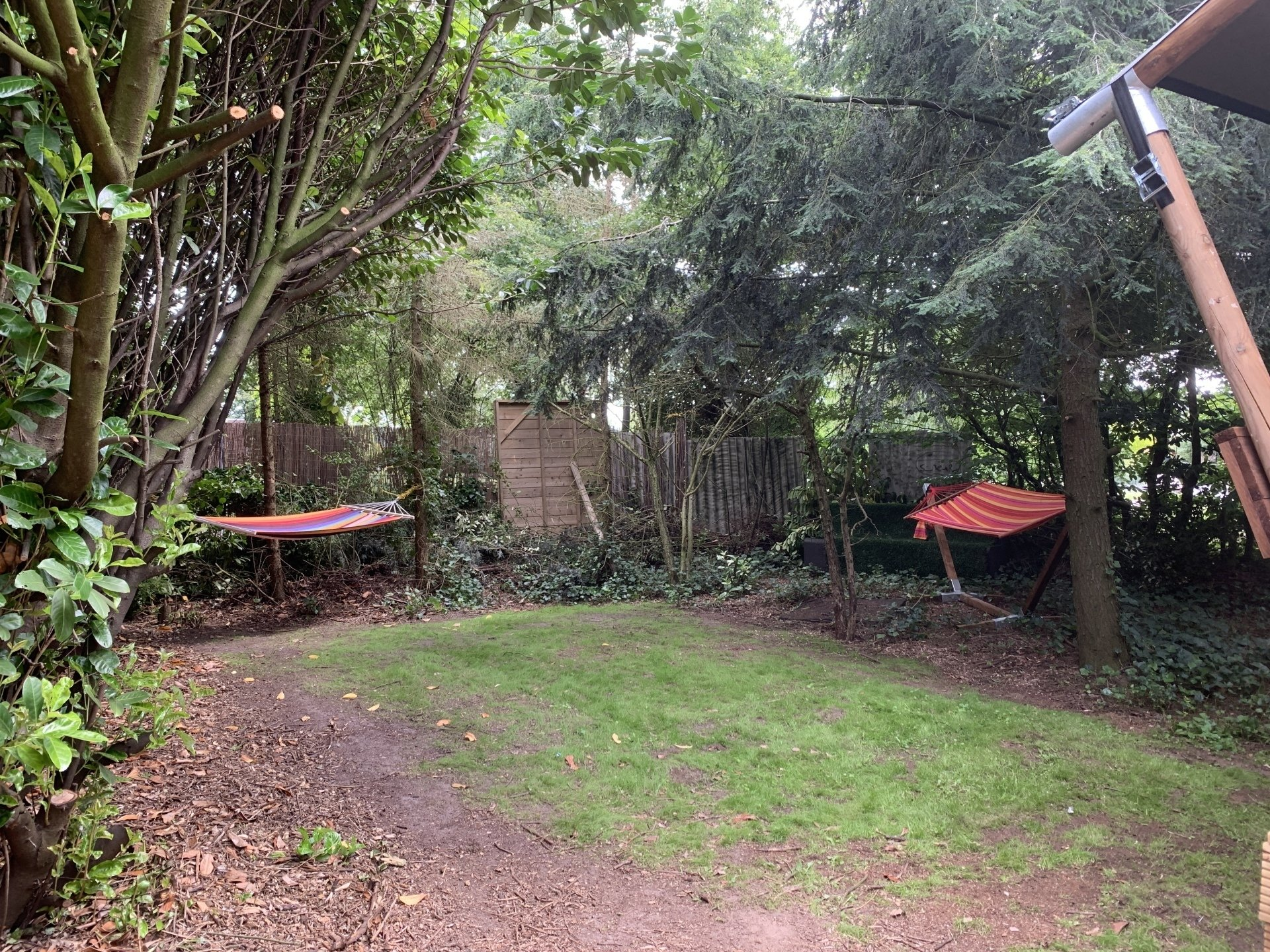 Een hangmat hangt aan een boom in een achtertuin, omringd door bomen.