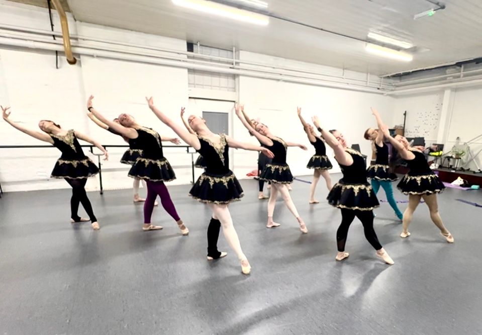 beginners adult ballet classes
