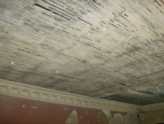 Ceiling Restoration — Cincinnati, OH — Old World