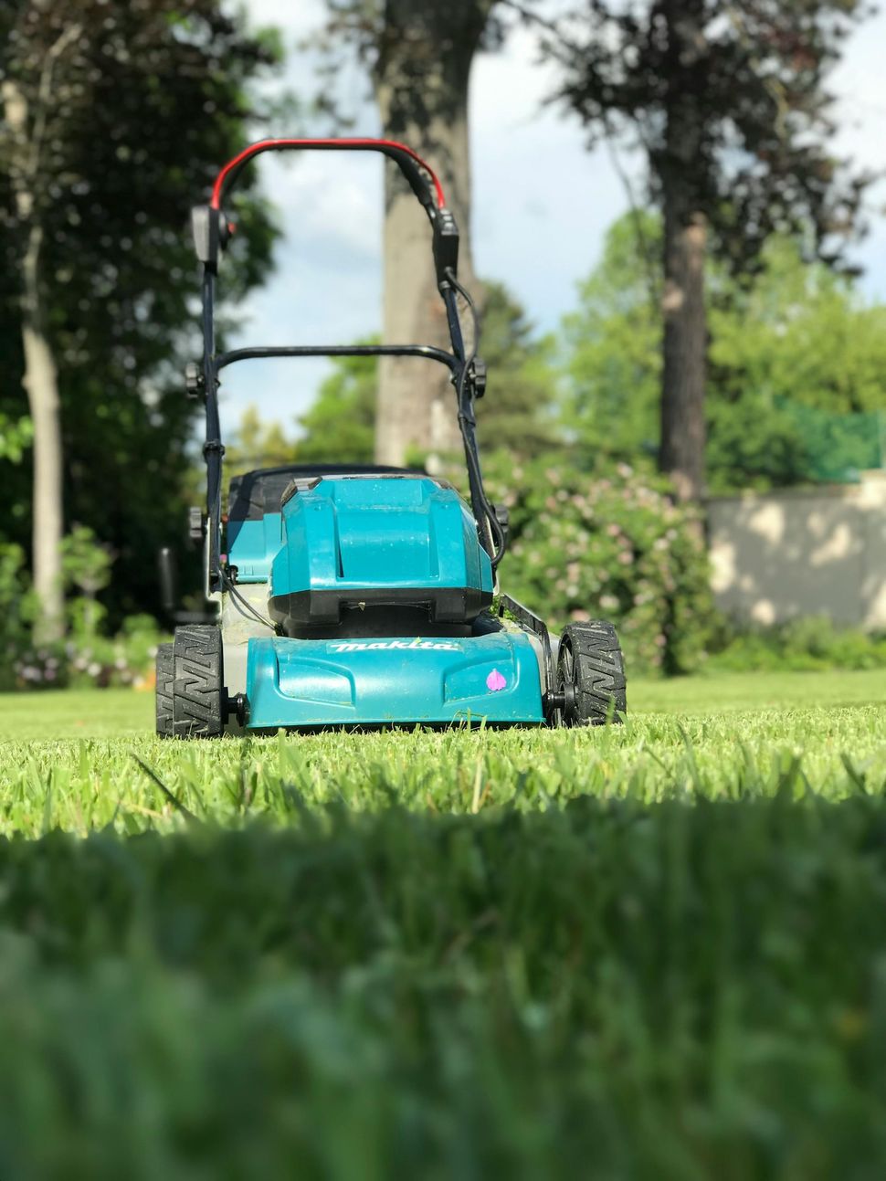 Blue toy lawn mower on grass in a sunlit yard with trees in the background