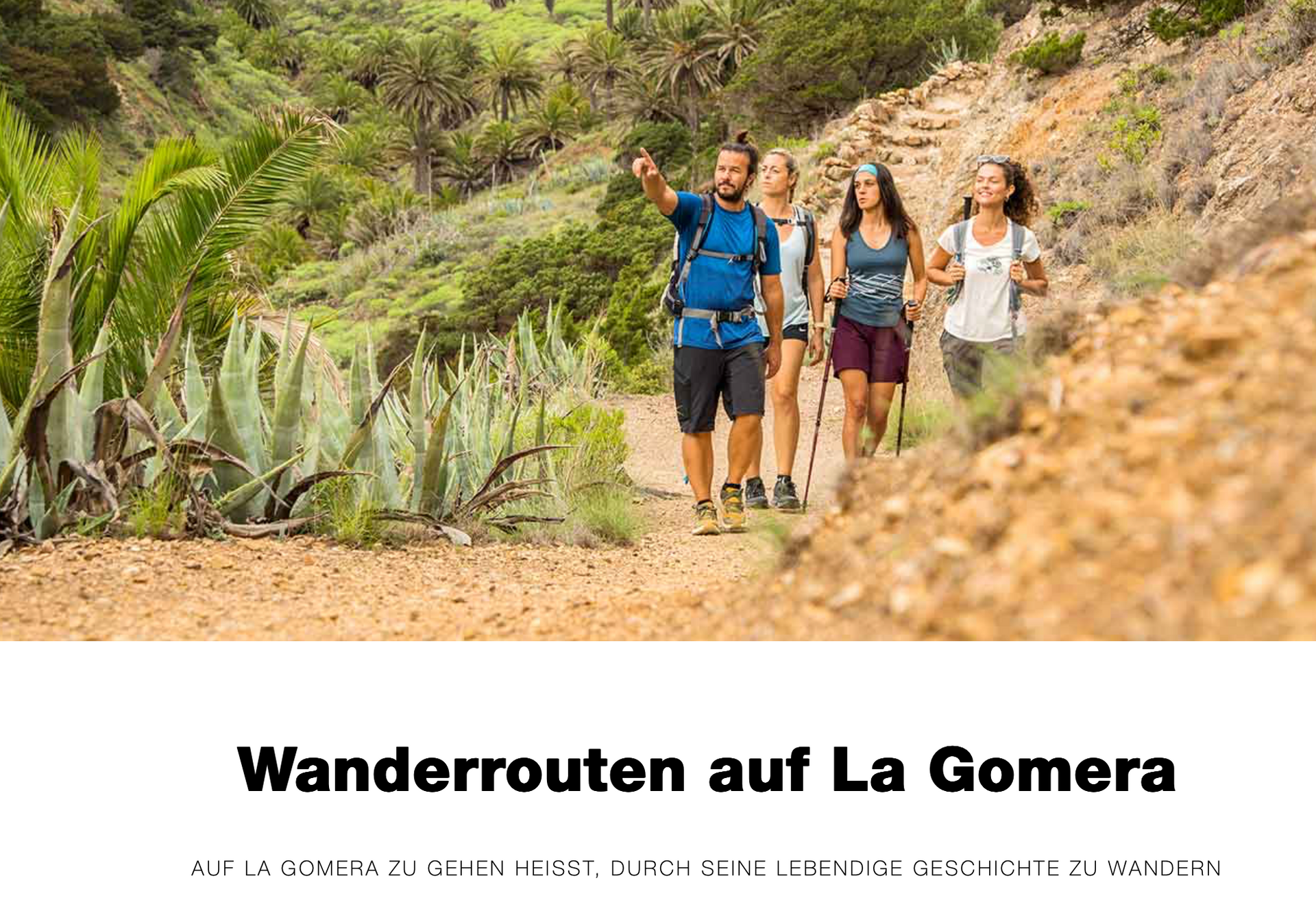 Eine Wandergruppe von vier Personen auf einem Wanderwege neben Palmen und Agaven.