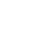 20+ Years of Experience