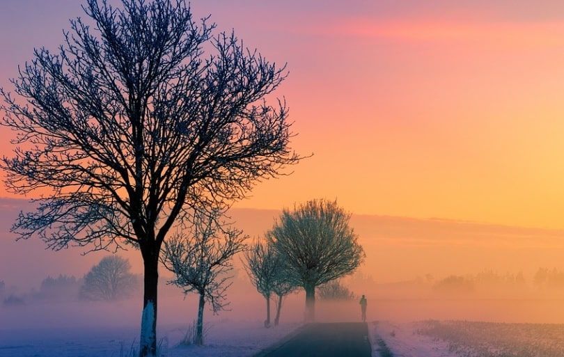 The Role of Funeral Homes in the Cremation Process