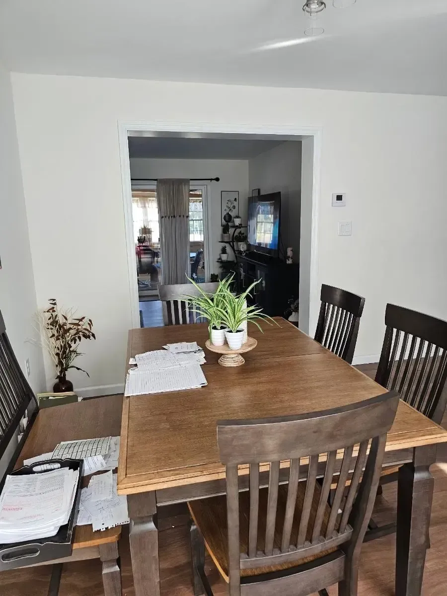 Wooden dining table and chairs in front of an opening into another room, plant on the table, and papers.