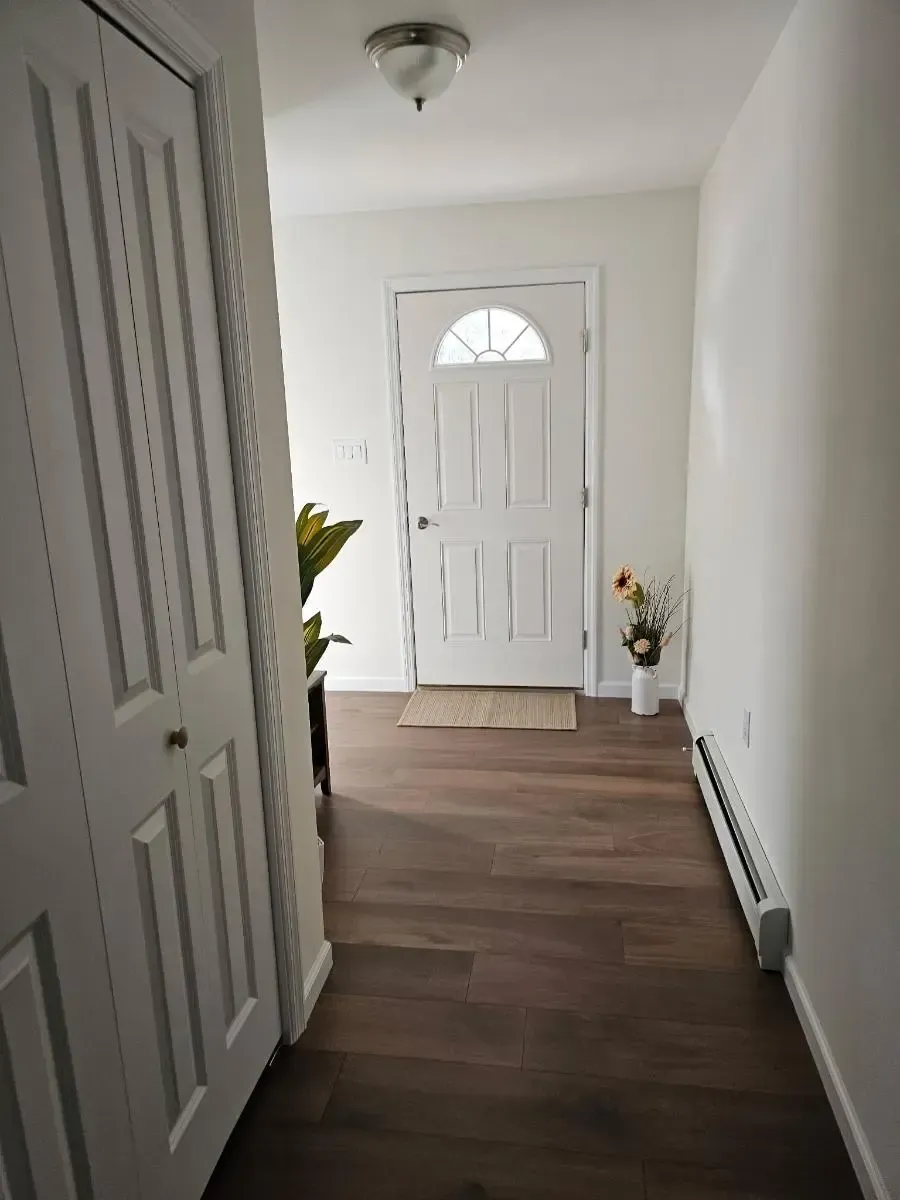 Hallway with a white door, brown floor, and a closet. Small plants decorate the space.
