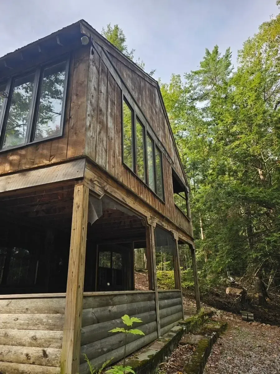 Rustic wooden cabin with large windows and a porch, surrounded by lush green trees.