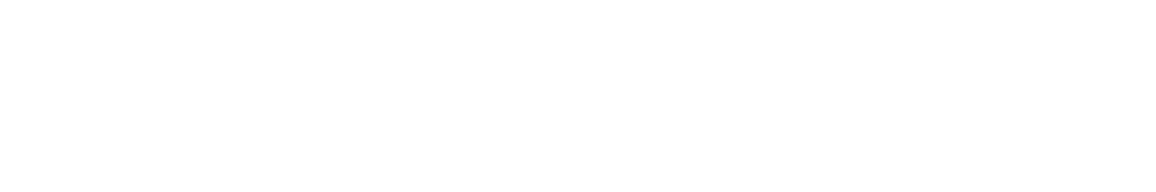 Shopify Partner's White Logo