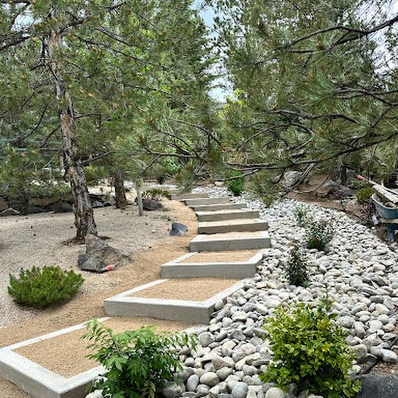 A row of concrete steps leading up to a lush green forest.