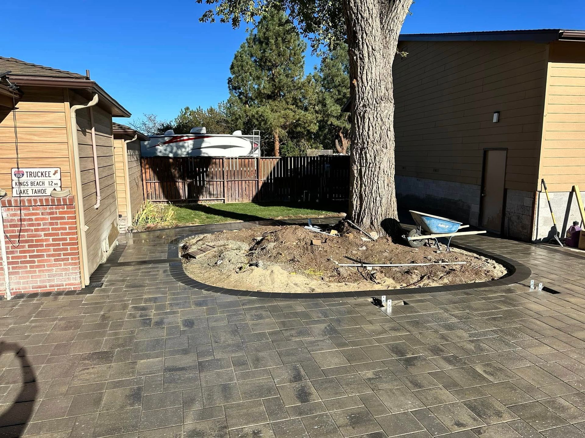 A large tree is in the middle of a driveway next to a house.