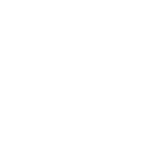 Licensed Professional and Insured