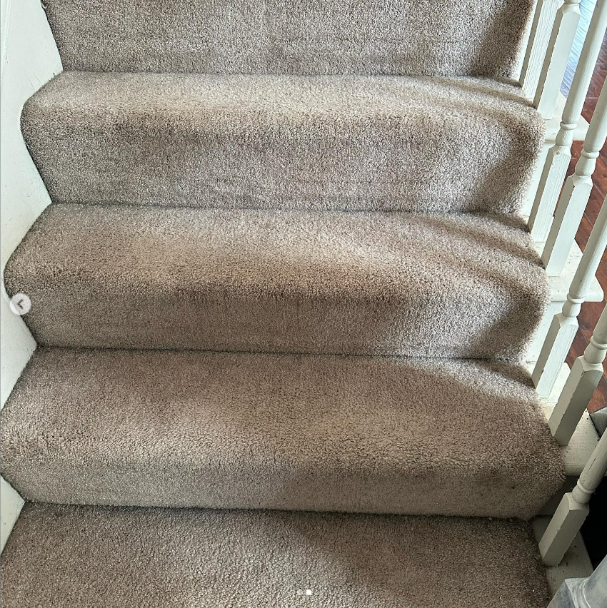 the stairs are made of carpet and have a white railing .