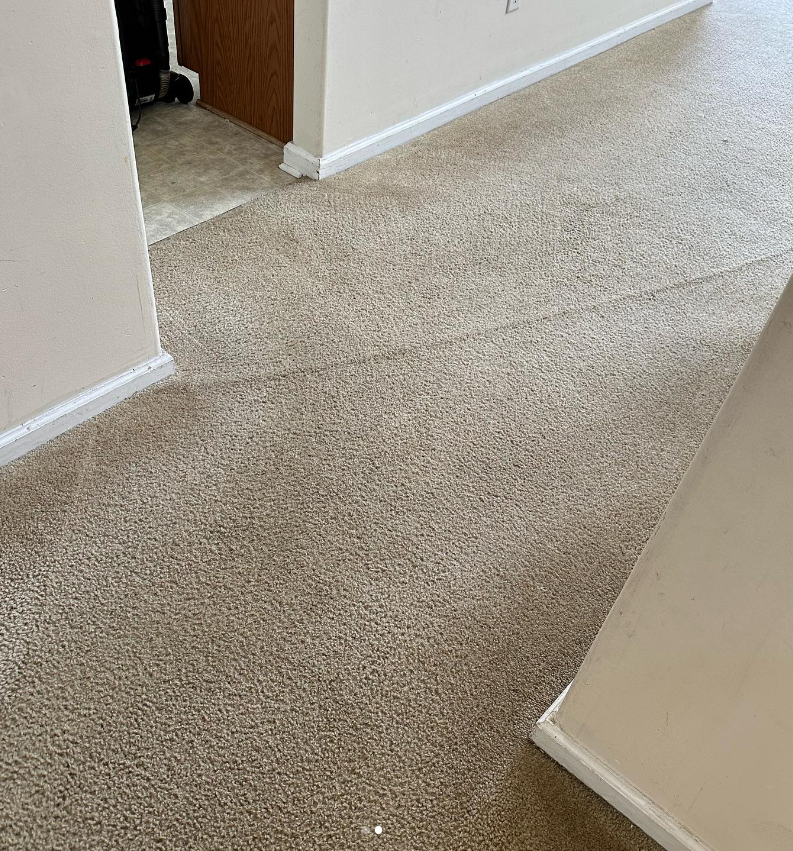a close up of a carpeted floor in a room .