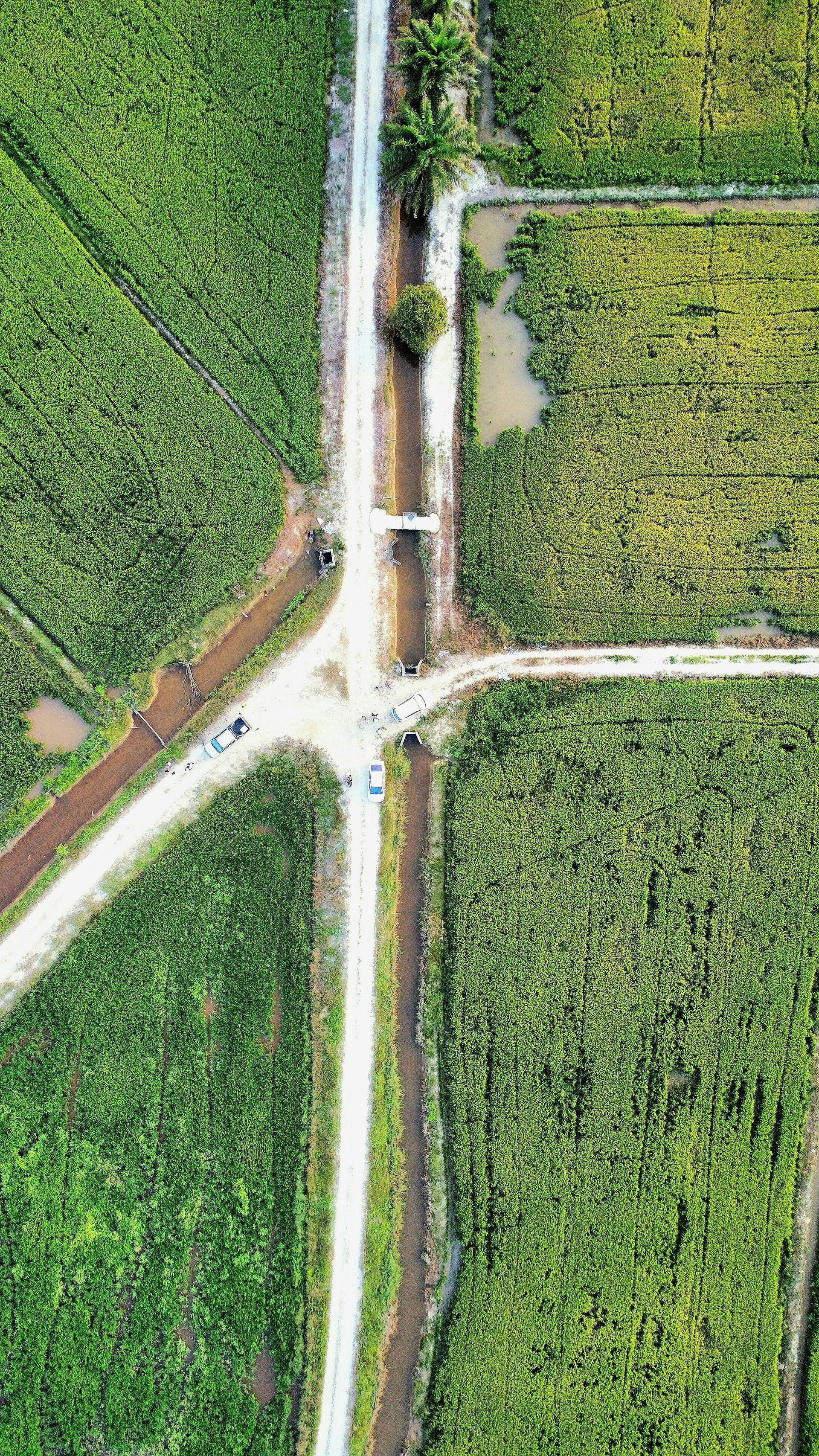 Aerial view of open land with development potential