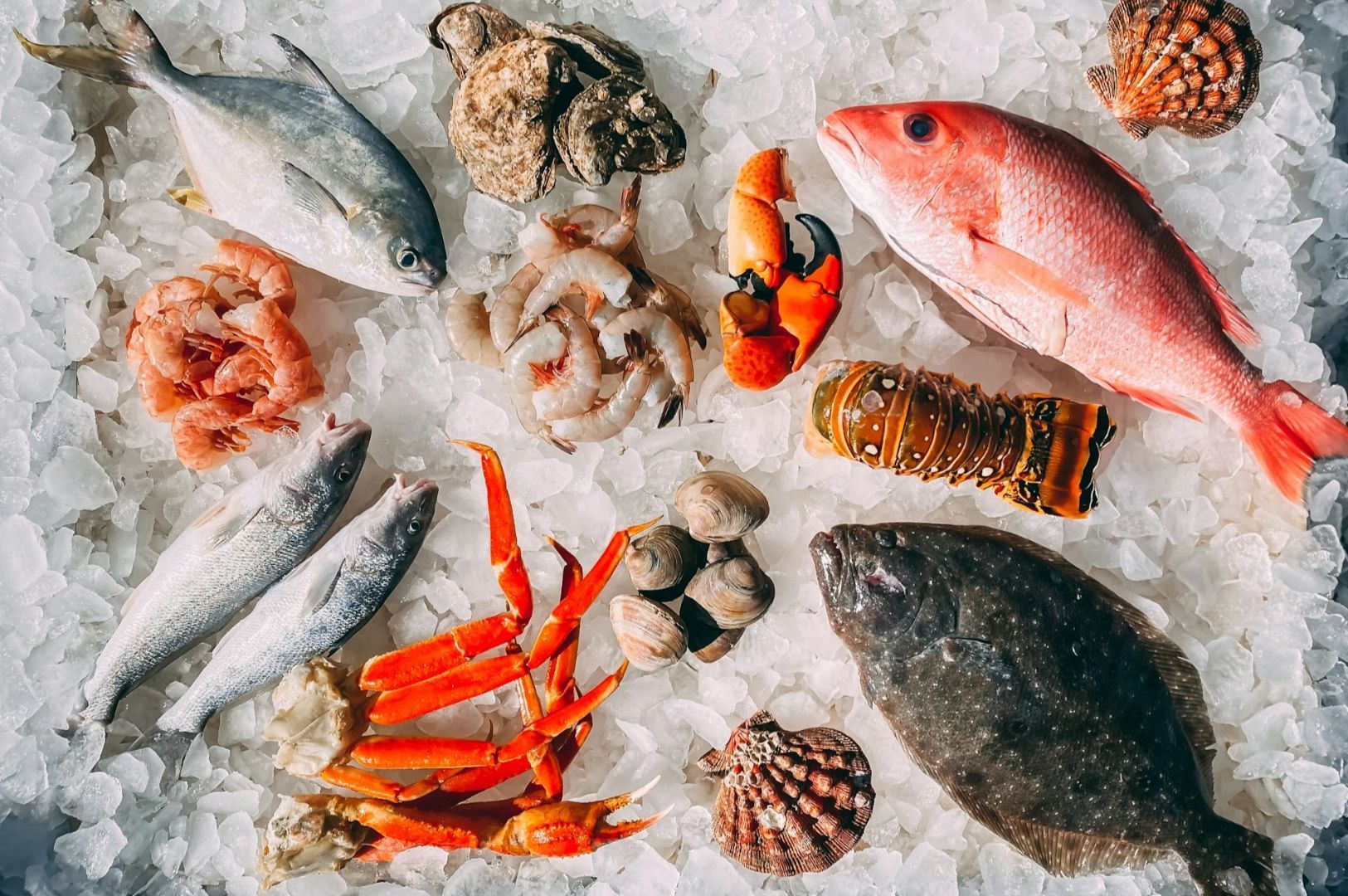 An assortment of fresh seafood on ice, featuring fish, shrimp, crab legs, clams, a lobster tail, and sea snails, arranged in a colorful display.